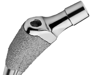TL Hip Stem Teaser