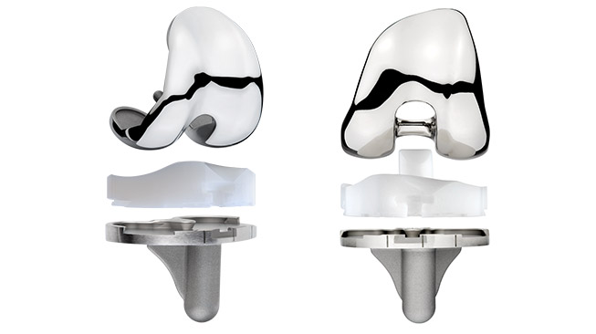 Evolution® Knee System