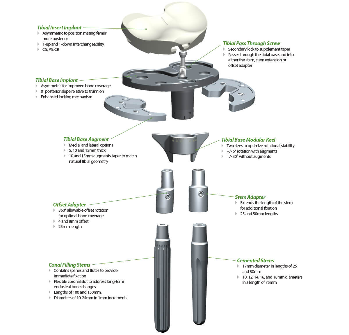 Evolution Stemmed Tibia